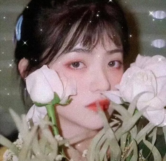 一剪芳华