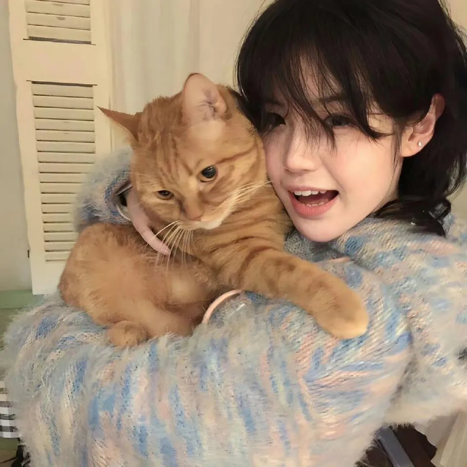 狩猎蝴蝶